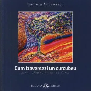 Cum traversezi un curcubeu - Ce faci cand nu mai stii ce sa faci de Daniela Andreescu