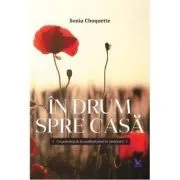 In drum spre casa. Un pelerinaj de la umilinta pana la vindecare de Sonia CHOQUETTE