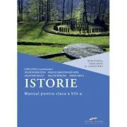 Istorie. Manual pentru clasa a 8-a de Stan Stoica