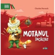 Motanul incaltat. Repovestire de Iulian Filip
