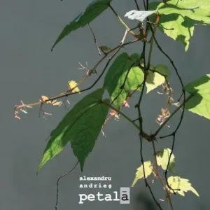 Petala + Vinyl de Alexandru Aries