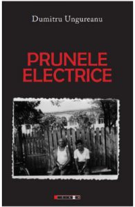 Prunele electrice