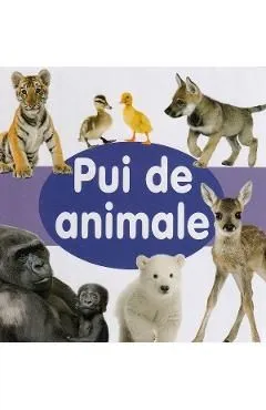 Pui de animale de Autor Anonim