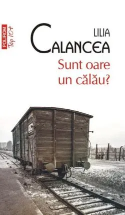 Sunt oare un călău? de Lilia Calancea