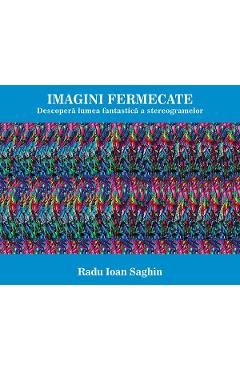 Imagini fermecate. Descopera lumea fantastica a stereogramelor