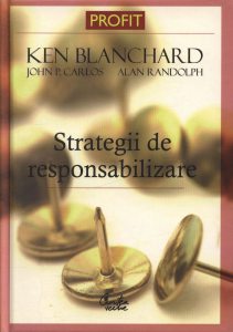 Strategii de responsabilizare