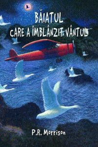 Baiatul care a imblanzit vantul