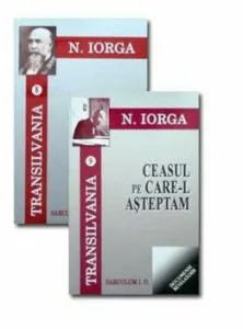 Ceasul pe care-l asteptam. Ce patimesc fratii nostri - Transilvania vol. 8-9 de Nicolae Iorga