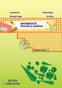 Matematica. Exercitii si probleme, clasa a VI-a, semestrul 1, 2013-2014