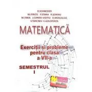 Matematica, exercitii si probleme pentru clasa a 7-a, semestrul 1 de Delia Schneider