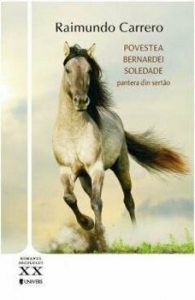 Povestea Bernardei Soledade