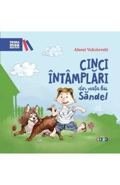 Cinci intamplari din viata lui Sandel