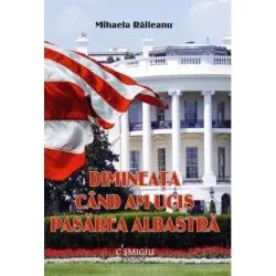 Dimineata cand am ucis pasarea albastra de Mihaela Raileanu