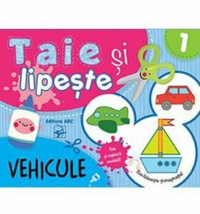 Vehicule. Taie si lipeste