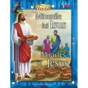 Minunile lui Iisus. Miracles of Jesus de Tanya Luther Agarwal