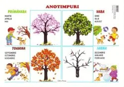 Plansa. Anotimpuri de Anonim