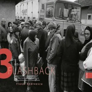 Flashback 3 - Societate multilateral dezvoltata falimentara de Florin Andreescu