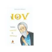 Iov. Taina rabdarii in suferinta de Ani-Eliza Busuioc