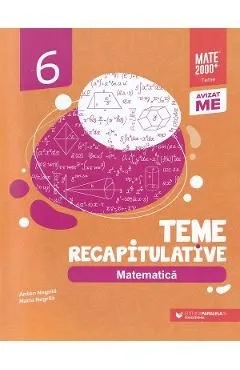 Matematica - Clasa 6 - Teme recapitulative de Anton Negrila