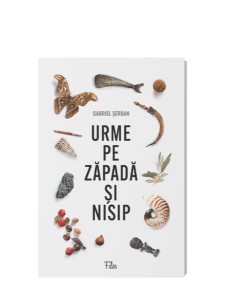 Urme pe zăpadă și nisip