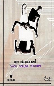 Vant, Volume, Vectori
