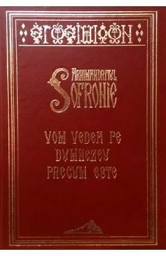 Vom vedea pe Dumnezeu precum este de Arhimandrit Sofronie