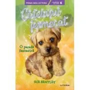 Catelusul fermecat. O parada fantastica (Nivelul 6) de Sue Bentley