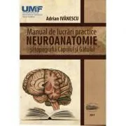 Neuroanatomie. Manual de lucrari practice si topografia capului si gatului de Adrian Ivanescu