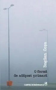 O forma de adapost primara de Bogdan Cosa