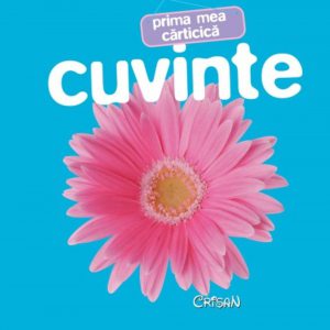 Prima mea carticica - Cuvinte