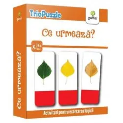 Ce urmeaza? TrioPuzzle 2020