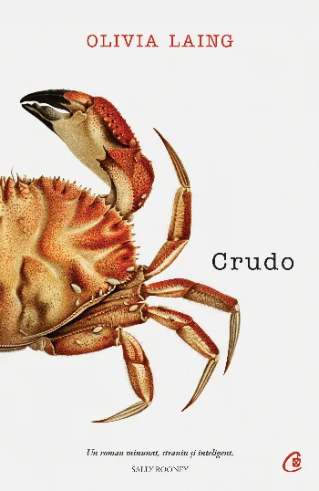 Crudo de Olivia Laing