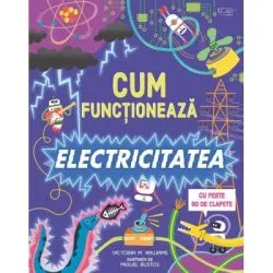 Cum functioneaza electricitatea (Usborne) de Usborne Books