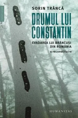 Drumul lui Constantin de Sorin Tranca