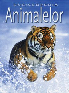 Enciclopedia animalelor