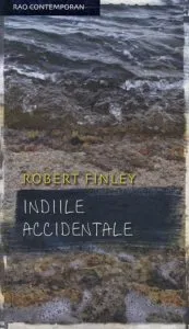Indiile accidentale