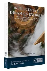 Inteligenta si dinamica energiei