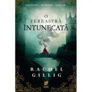 O fereastra intunecata de Rachel Gillig