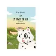 Jup, un pisoi de soi volumul 11. Jup si detectivul de Alec Blenche