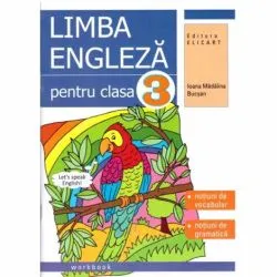 Limba engleza pentru clasa a III-a de Ioana Madalina Bucsan