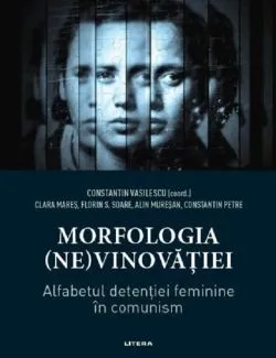 Morfologia (ne)vinovatiei de Constantin Vasilescu