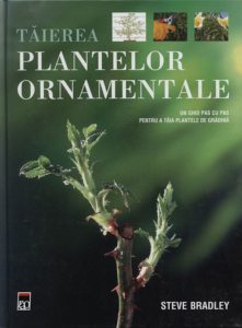 Taierea plantelor ornamentale