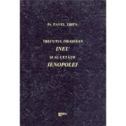 Trecutul orasului Ineu si al cetatii Ienopolei