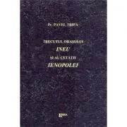 Trecutul orasului Ineu si al cetatii Ienopolei de Pavel Tripa