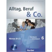 Alltag, Beruf & Co. 6, Kursbuch   Arbeitsbuch   CD zum Arbeitsbuch