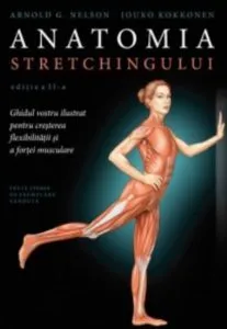 Anatomia stretchingului