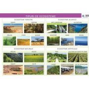 Plansa. Tipuri de ecosisteme