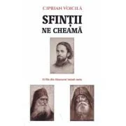 Sfintii ne cheama. 15 file din Sinaxarul inimii mele de Ciprian Voicila