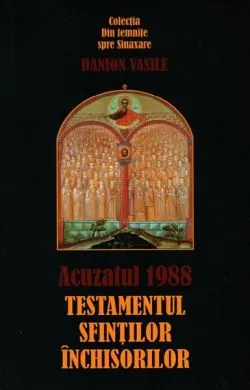 Acuzatul 1988 de Danion Vasile