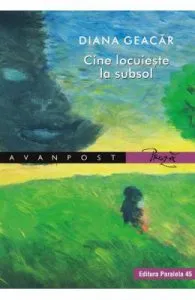Cine locuieste la subsol de Diana Geacar